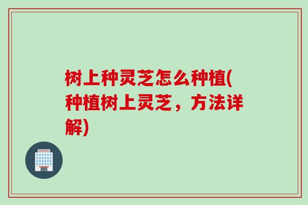 树上种灵芝怎么种植(种植树上灵芝，方法详解)