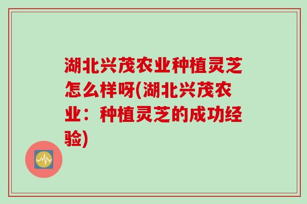 湖北兴茂农业种植灵芝怎么样呀(湖北兴茂农业：种植灵芝的成功经验)