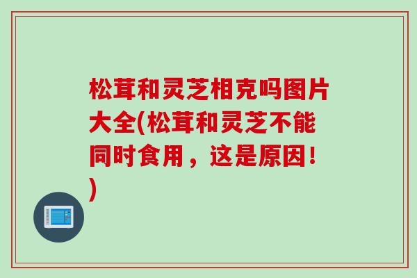松茸和灵芝相克吗图片大全(松茸和灵芝不能同时食用,这是原因!) 松茸和灵芝相克吗图片大全(松茸和灵芝不能同时食用,这是原因!)