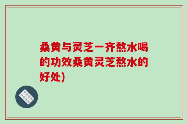 桑黄与灵芝一齐熬水喝的功效桑黄灵芝熬水的好处)