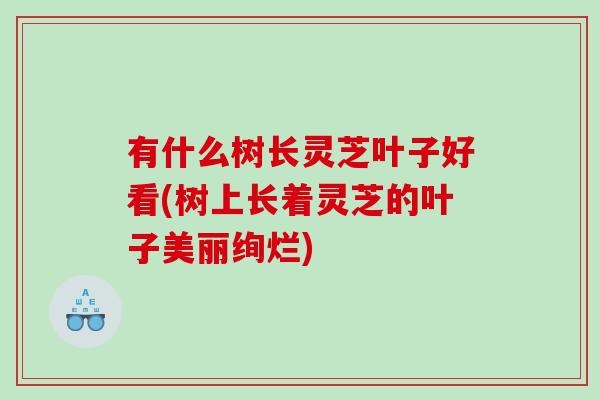 有什么树长灵芝叶子好看(树上长着灵芝的叶子美丽绚烂)