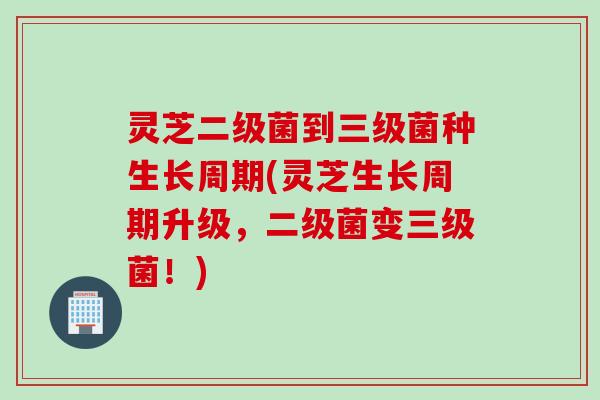 灵芝二级菌到三级菌种生长周期(灵芝生长周期升级，二级菌变三级菌！)