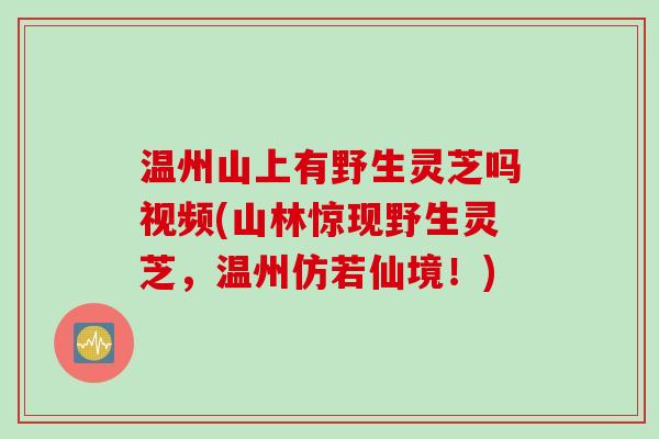 温州山上有野生灵芝吗视频(山林惊现野生灵芝，温州仿若仙境！)