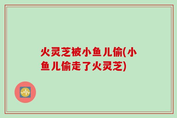 火灵芝被小鱼儿偷(小鱼儿偷走了火灵芝)