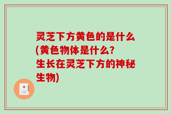 灵芝下方黄色的是什么(黄色物体是什么？ 生长在灵芝下方的神秘生物)
