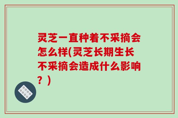 灵芝一直种着不采摘会怎么样(灵芝长期生长不采摘会造成什么影响？)