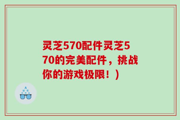 灵芝570配件灵芝570的完美配件，挑战你的游戏极限！)