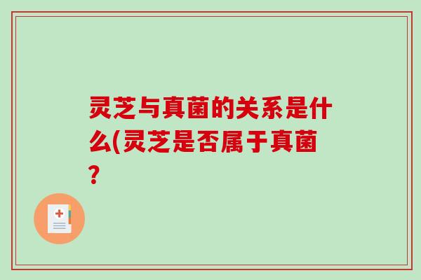 灵芝与真菌的关系是什么(灵芝是否属于真菌？