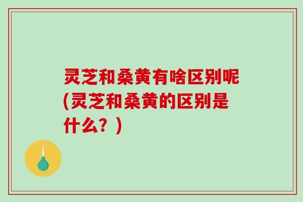 灵芝和桑黄有啥区别呢(灵芝和桑黄的区别是什么？)