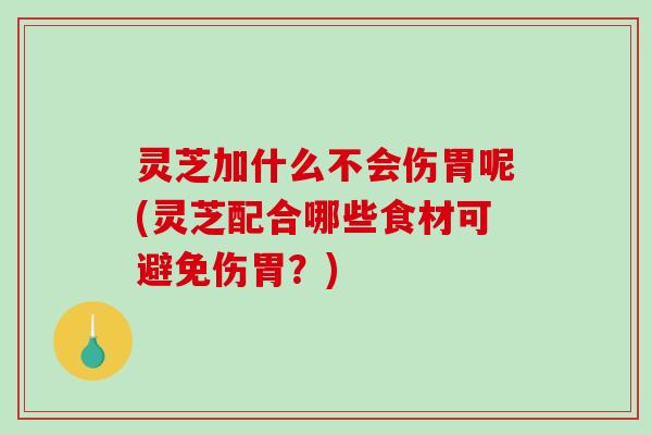 灵芝加什么不会伤胃呢(灵芝配合哪些食材可避免伤胃？)