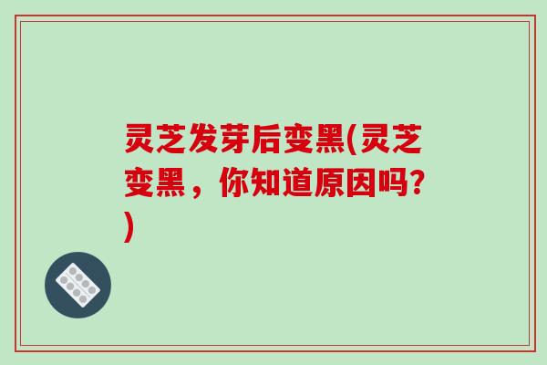 灵芝发芽后变黑(灵芝变黑,你知道原因吗?) 灵芝发芽后变黑(灵芝变黑,你知道原因吗?)