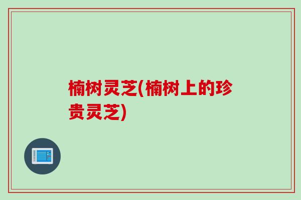 楠树灵芝(楠树上的珍贵灵芝)