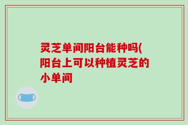灵芝单间阳台能种吗(阳台上可以种植灵芝的小单间