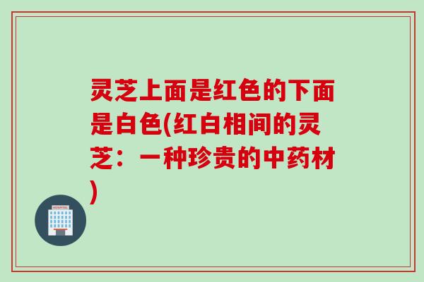 灵芝上面是红色的下面是白色(红白相间的灵芝：一种珍贵的中药材)