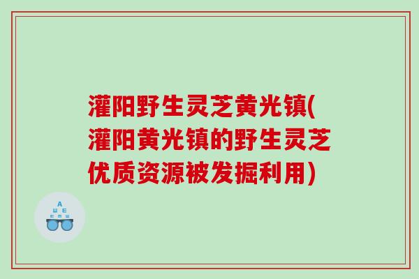 灌阳野生灵芝黄光镇(灌阳黄光镇的野生灵芝优质资源被发掘利用)