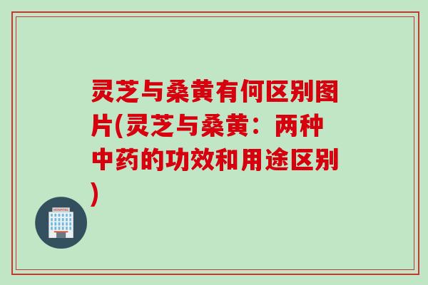 灵芝与桑黄有何区别图片(灵芝与桑黄：两种中药的功效和用途区别)