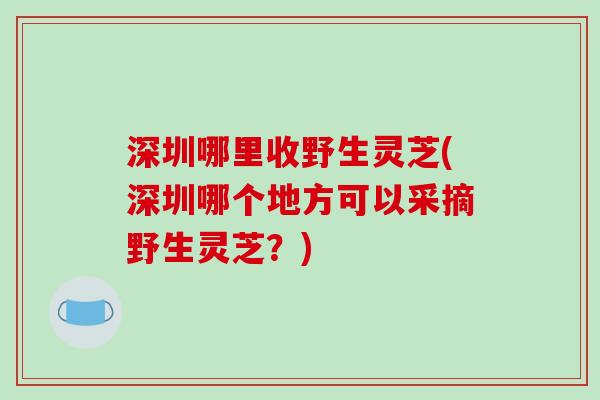 深圳哪里收野生灵芝(深圳哪个地方可以采摘野生灵芝？)