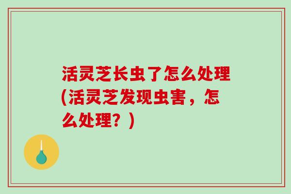 活灵芝长虫了怎么处理(活灵芝发现虫害，怎么处理？)
