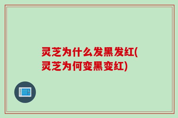 灵芝为什么发黑发红(灵芝为何变黑变红)