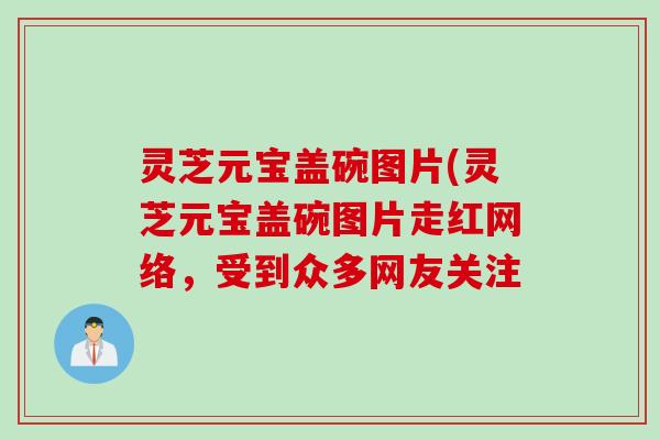 灵芝元宝盖碗图片(灵芝元宝盖碗图片走红网络，受到众多网友关注