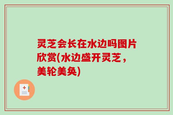 灵芝会长在水边吗图片欣赏(水边盛开灵芝，美轮美奂)