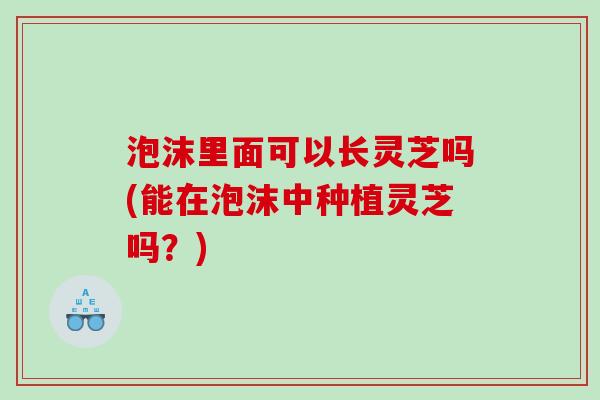 泡沫里面可以长灵芝吗(能在泡沫中种植灵芝吗？)