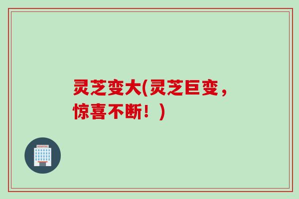 灵芝变大(灵芝巨变，惊喜不断！)