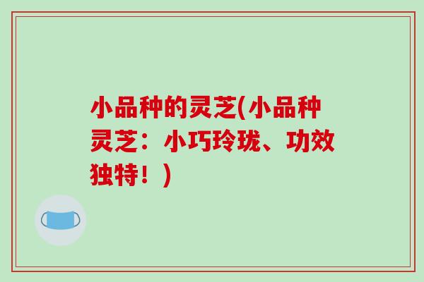 小品种的灵芝(小品种灵芝：小巧玲珑、功效独特！)
