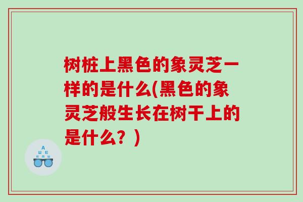 树桩上黑色的象灵芝一样的是什么(黑色的象灵芝般生长在树干上的是什么？)
