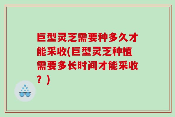 巨型灵芝需要种多久才能采收(巨型灵芝种植需要多长时间才能采收？)