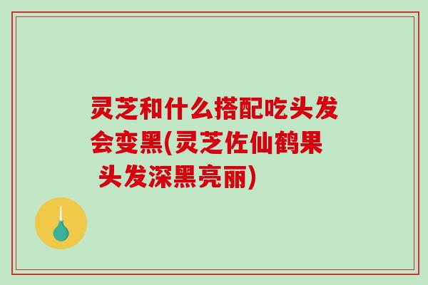 灵芝和什么搭配吃头发会变黑(灵芝佐仙鹤果 头发深黑亮丽)
