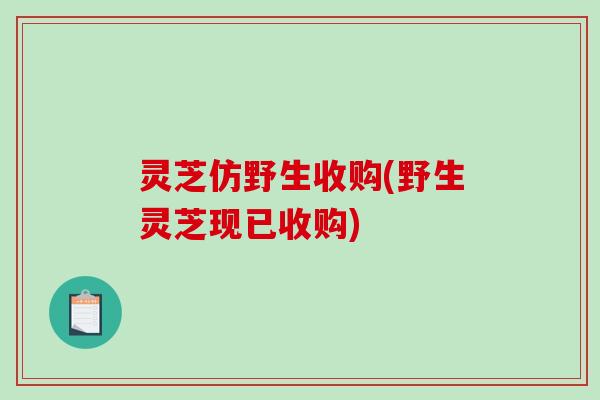 灵芝仿野生收购(野生灵芝现已收购)
