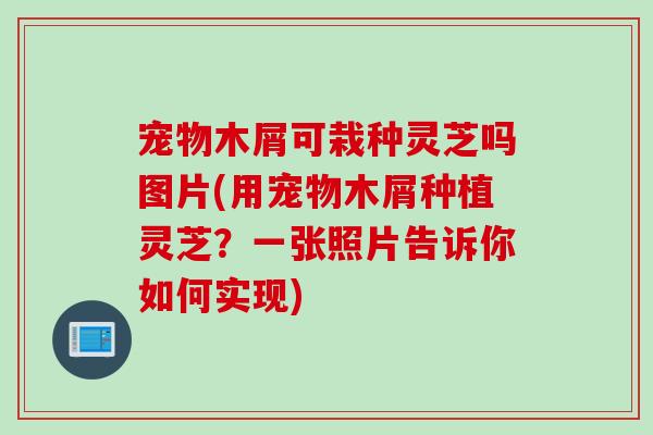 宠物木屑可栽种灵芝吗图片(用宠物木屑种植灵芝？一张照片告诉你如何实现)