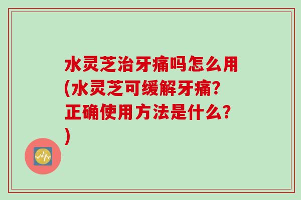 水灵芝治牙痛吗怎么用(水灵芝可缓解牙痛？正确使用方法是什么？)