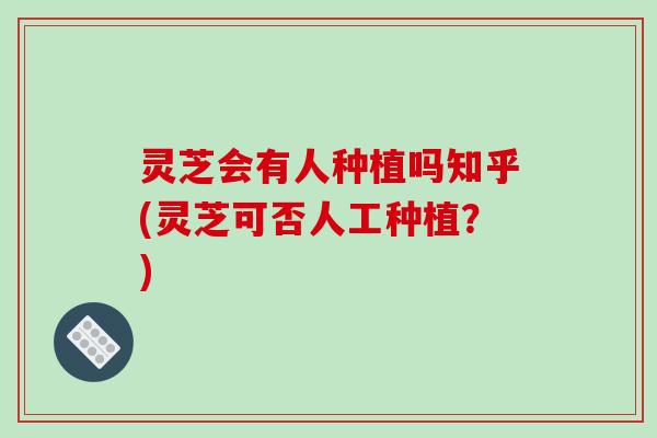 灵芝会有人种植吗知乎(灵芝可否人工种植？)