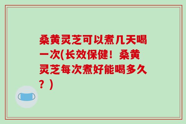 桑黄灵芝可以煮几天喝一次(长效保健！桑黄灵芝每次煮好能喝多久？)