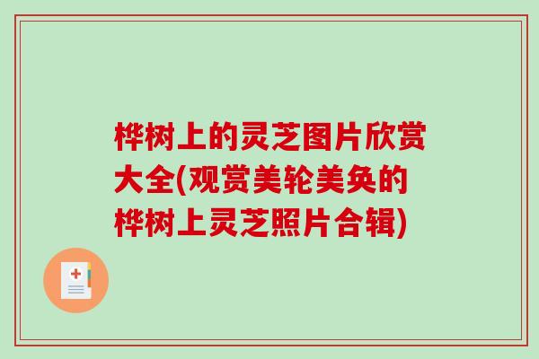 桦树上的灵芝图片欣赏大全(观赏美轮美奂的桦树上灵芝照片合辑)