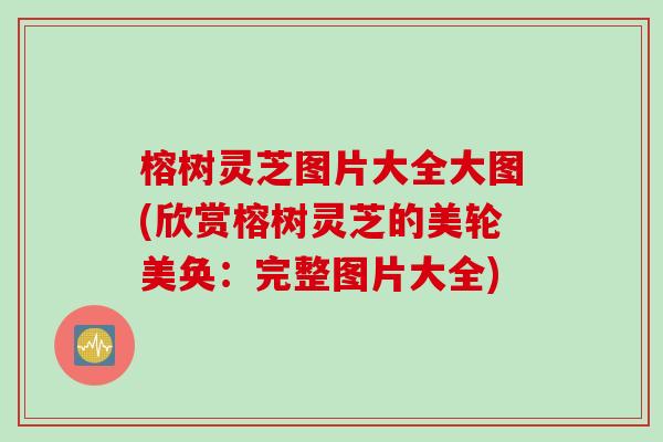 榕树灵芝图片大全大图(欣赏榕树灵芝的美轮美奂：完整图片大全)