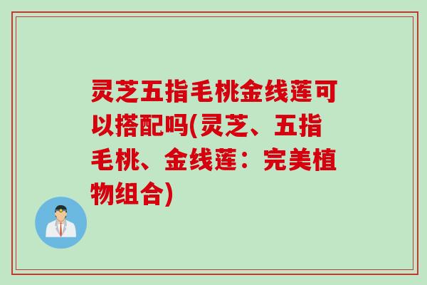 灵芝五指毛桃金线莲可以搭配吗(灵芝、五指毛桃、金线莲：完美植物组合)
