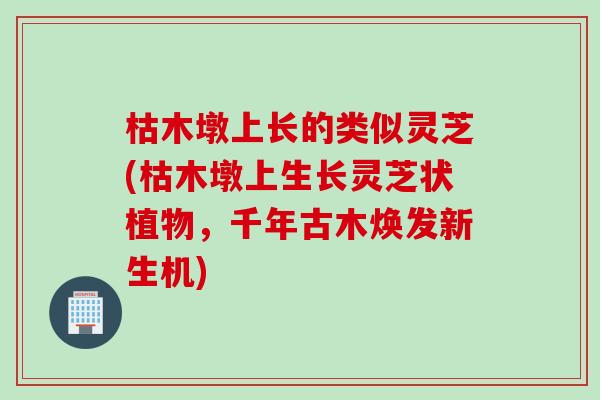 枯木墩上长的类似灵芝(枯木墩上生长灵芝状植物，千年古木焕发新生机)