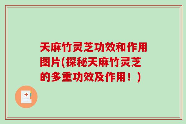 天麻竹灵芝功效和作用图片(探秘天麻竹灵芝的多重功效及作用！)