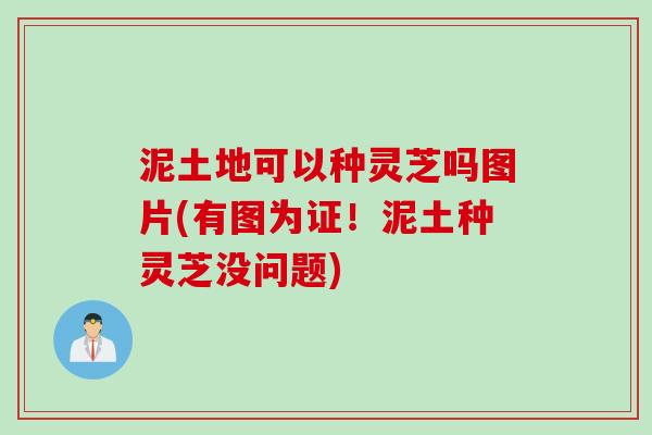 泥土地可以种灵芝吗图片(有图为证！泥土种灵芝没问题)