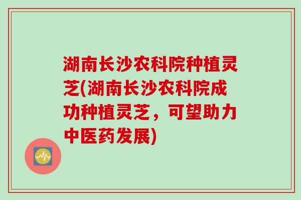 湖南长沙农科院种植灵芝(湖南长沙农科院成功种植灵芝，可望助力中医药发展)