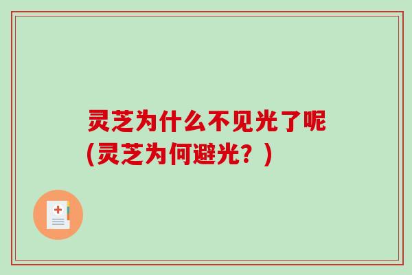 灵芝为什么不见光了呢(灵芝为何避光？)