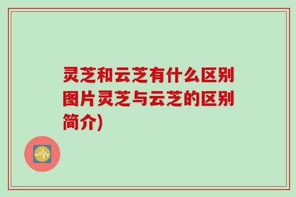 灵芝和云芝有什么区别图片灵芝与云芝的区别简介)