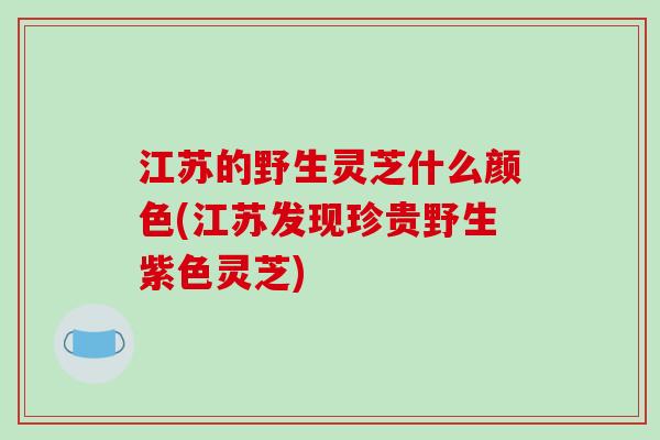 江苏的野生灵芝什么颜色(江苏发现珍贵野生紫色灵芝)