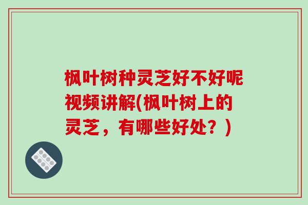 枫叶树种灵芝好不好呢视频讲解(枫叶树上的灵芝，有哪些好处？)