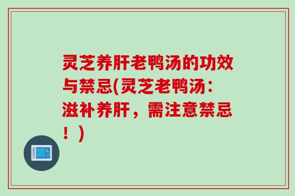 灵芝养肝老鸭汤的功效与禁忌(灵芝老鸭汤：滋补养肝，需注意禁忌！)