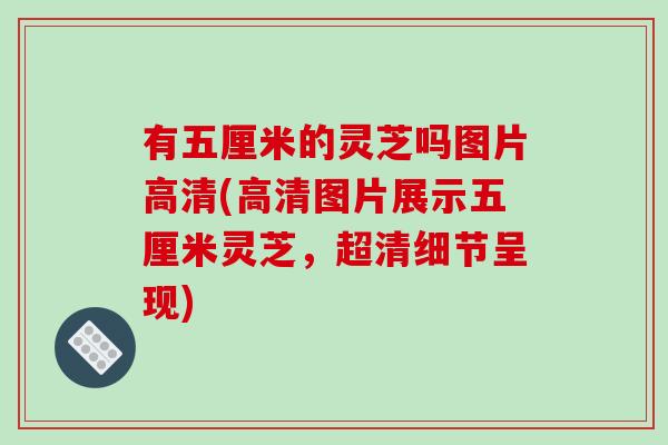 有五厘米的灵芝吗图片高清(高清图片展示五厘米灵芝，超清细节呈现)
