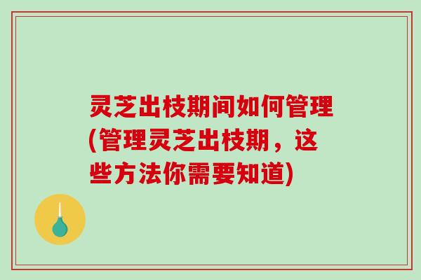 灵芝出枝期间如何管理(管理灵芝出枝期，这些方法你需要知道)